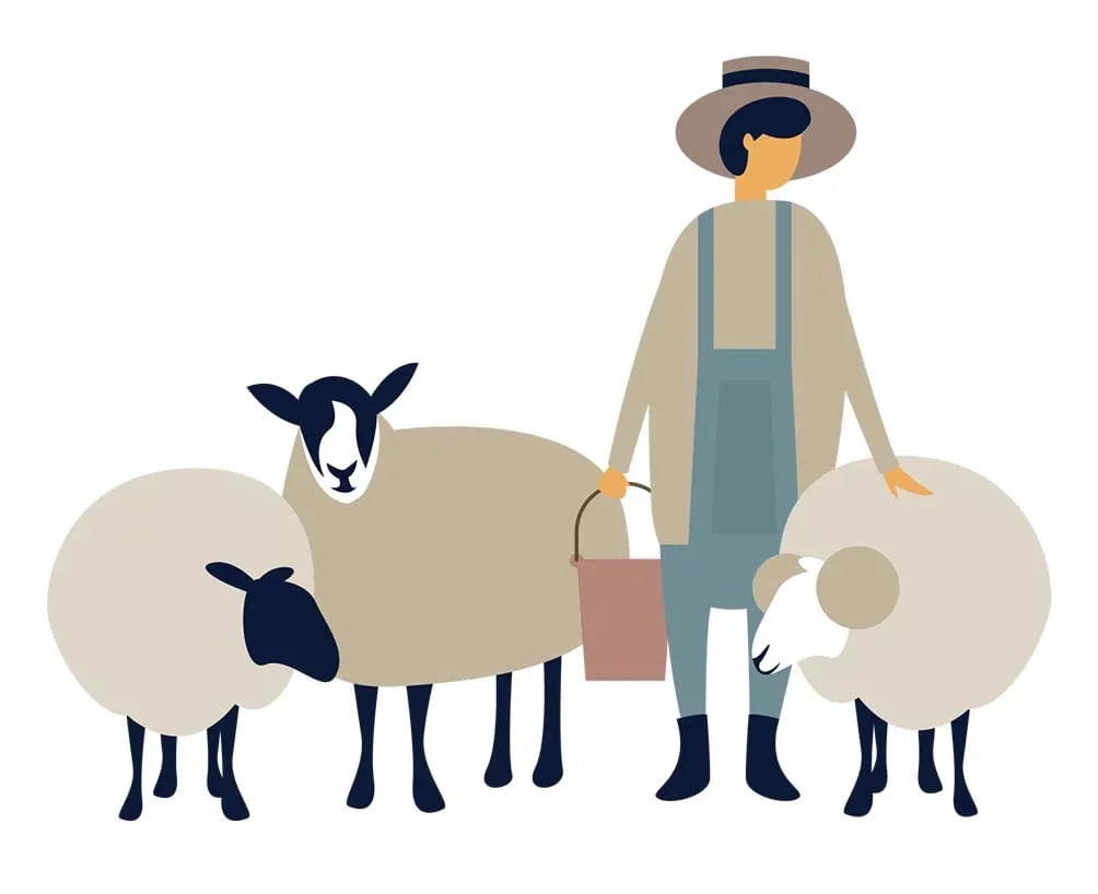 ilustração ovelhas
